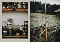 Laudeen | Cozy Publishing | Nordic Magic