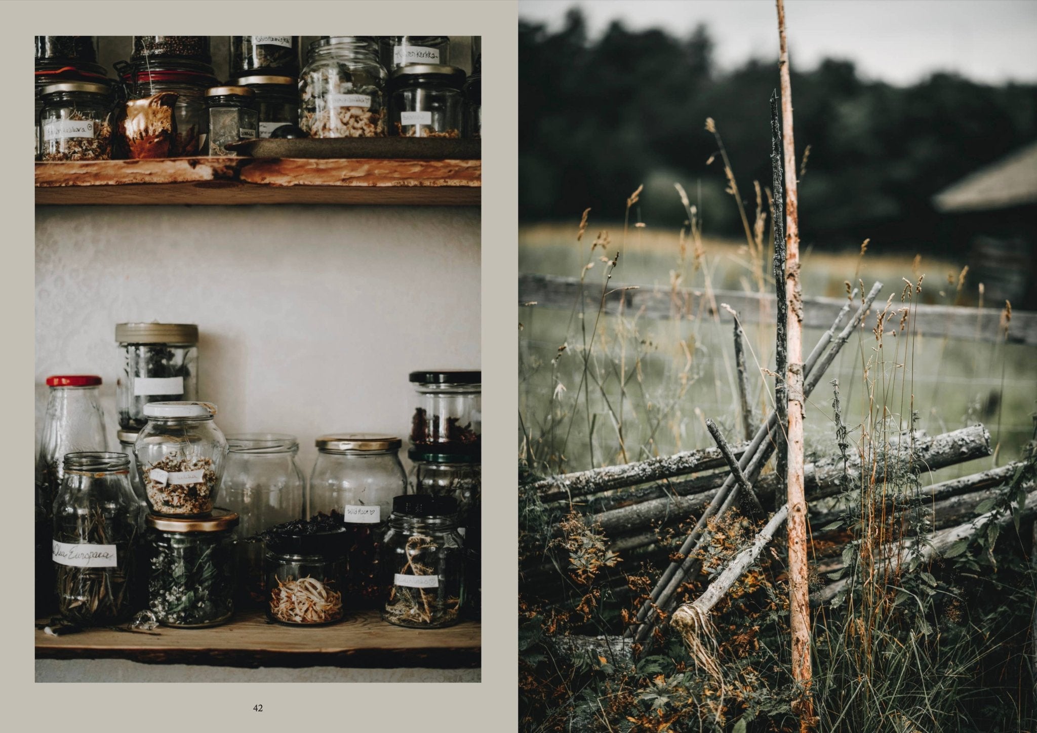 Laudeen | Cozy Publishing | Nordic Magic