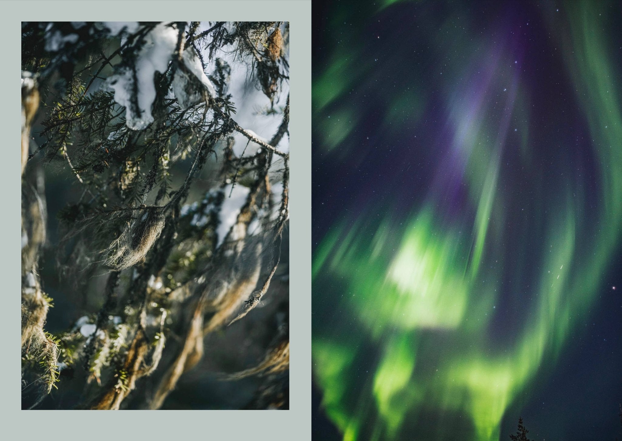 Laudeen | Cozy Publishing | Nordic Magic