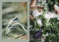 Laudeen | Cozy Publishing | Nordic Magic